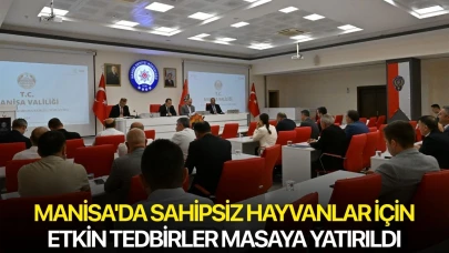 Manisa'da sahipsiz hayvanlar için etkin tedbirler masaya yatırıldı