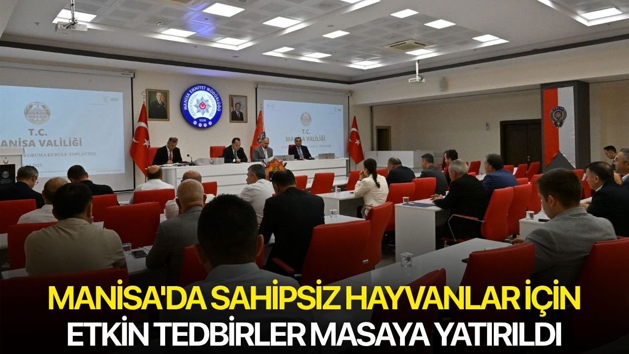Manisa'da sahipsiz hayvanlar için etkin tedbirler masaya yatırıldı