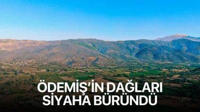 Ödemiş'in dağları siyaha büründü