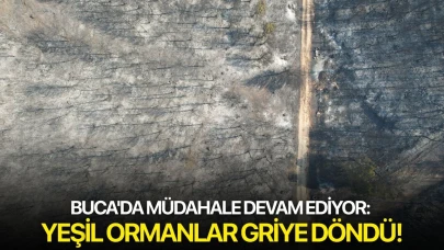 Buca'da müdahale devam ediyor: Yeşil ormanlar griye döndü!