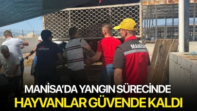 Manisa’da yangın sürecinde hayvanlar güvende kaldı