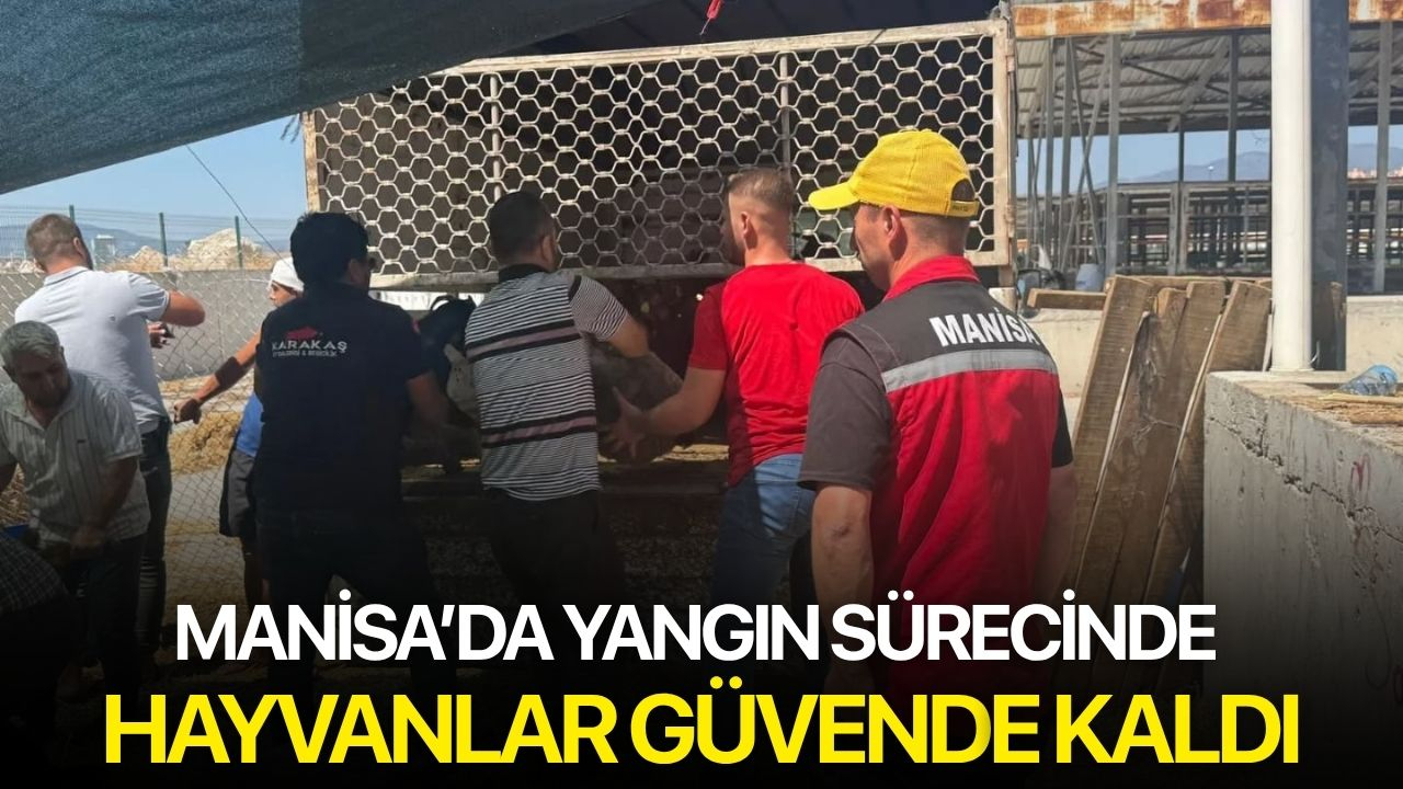 Manisa’da yangın sürecinde hayvanlar güvende kaldı