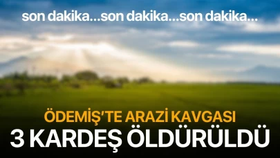 Ödemiş'te arazi kavgası: 3 kardeş öldürüldü