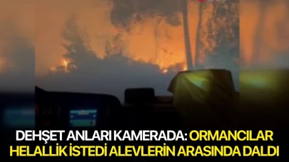 Dehşet anları kamerada: Ormancılar helallik istedi alevlerin arasında daldı