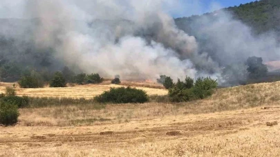 Bursa'da buğday tarlasında çıkan yangın ormana sıçradı