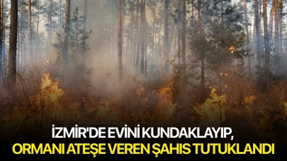 İzmir'de evini kundaklayıp, ormanı ateşe veren şahıs tutuklandı