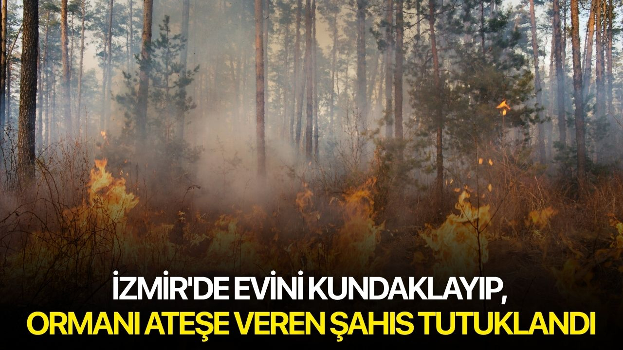 İzmir'de evini kundaklayıp, ormanı ateşe veren şahıs tutuklandı