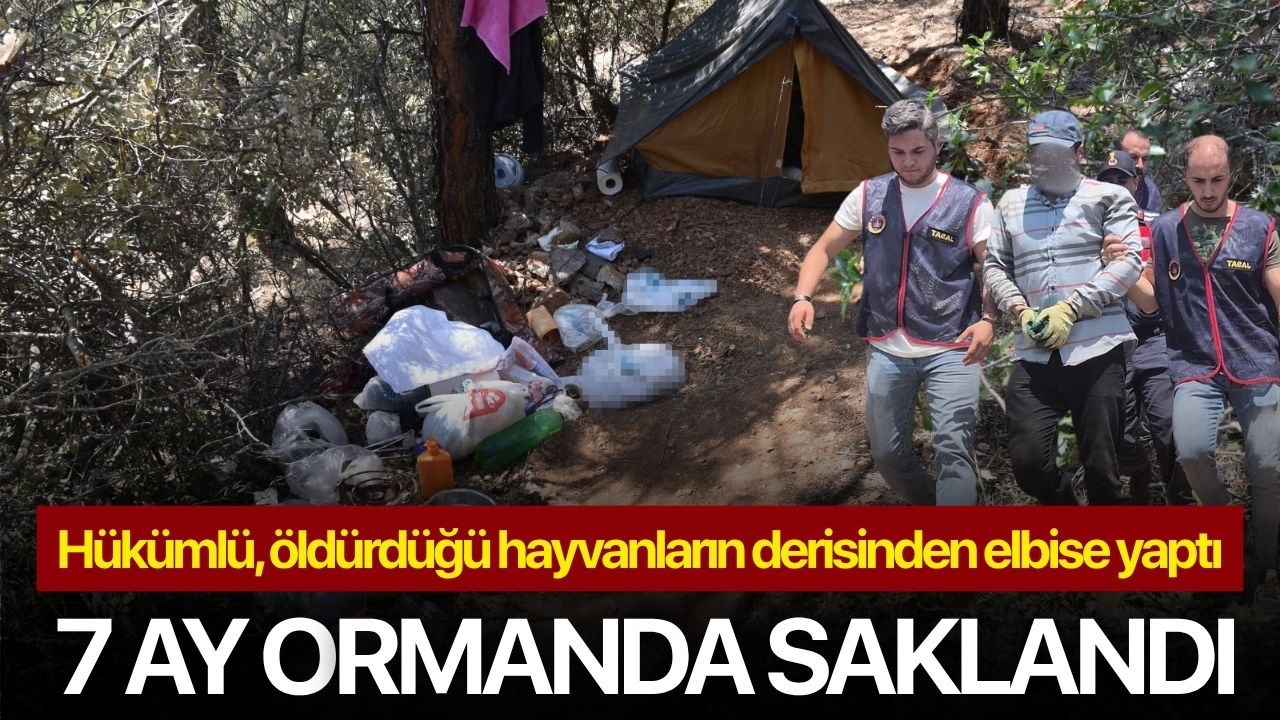 Hükümlü, öldürdüğü hayvanların derisinden elbise yaptı: 7 ay ormanda saklandı