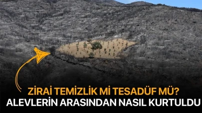 Sürülen alan alevlere geçit vermedi