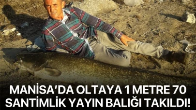 Manisa’da oltaya 1 metre 70 santimlik yayın balığı takıldı!