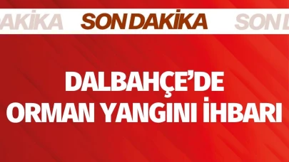 Son Dakika! Dalbahçe’de orman yangını ihbarı