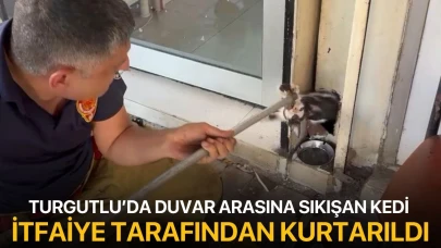 Turgutlu’da duvar arasına sıkışan kedi itfaiye tarafından kurtarıldı