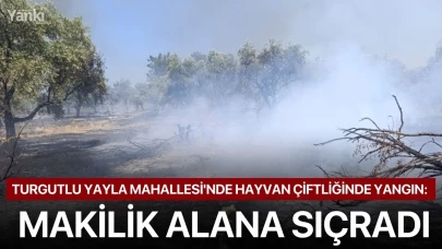 Turgutlu Yayla Mahallesi'nde hayvan çiftliğinde yangın: Makilik alana sıçradı