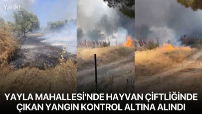 Yayla Mahallesi'nde hayvan çiftliğinde çıkan yangın kontrol altına alındı