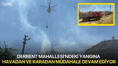 Derbent Mahallesi'ndeki Yangına Havadan ve Karadan Müdahale Devam Ediyor