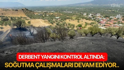Derbent Yangını kontrol altında: Soğutma çalışmaları devam ediyor..
