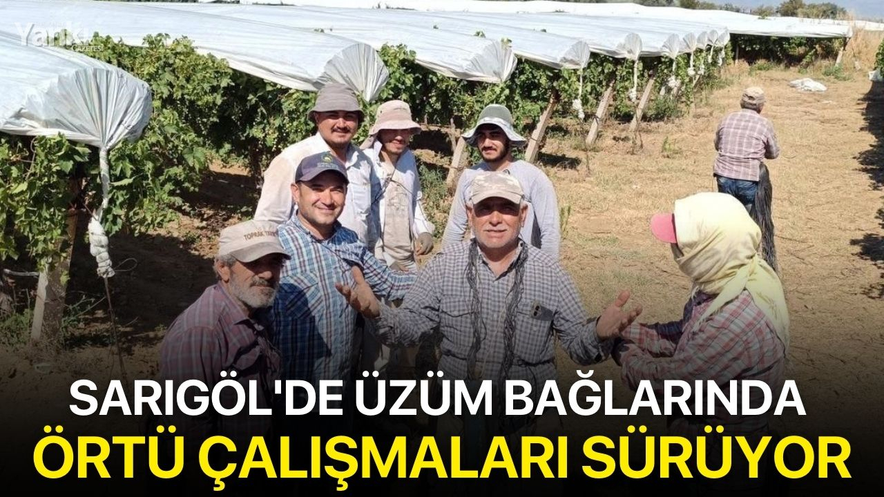 Sarıgöl'de üzüm bağlarında örtü çalışmaları sürüyor