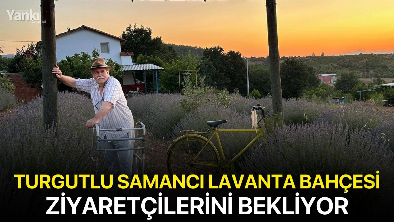 Samancı Lavanta Bahçesi ziyaretçilerini bekliyor