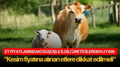 Et fiyatlarındaki düşüşle ilgili üreticilerden uyarı: "Kesim fiyatına alınan etlere dikkat edilmeli"