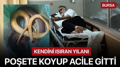 Kendisini ısıran yılanı poşete koyup acile gitti