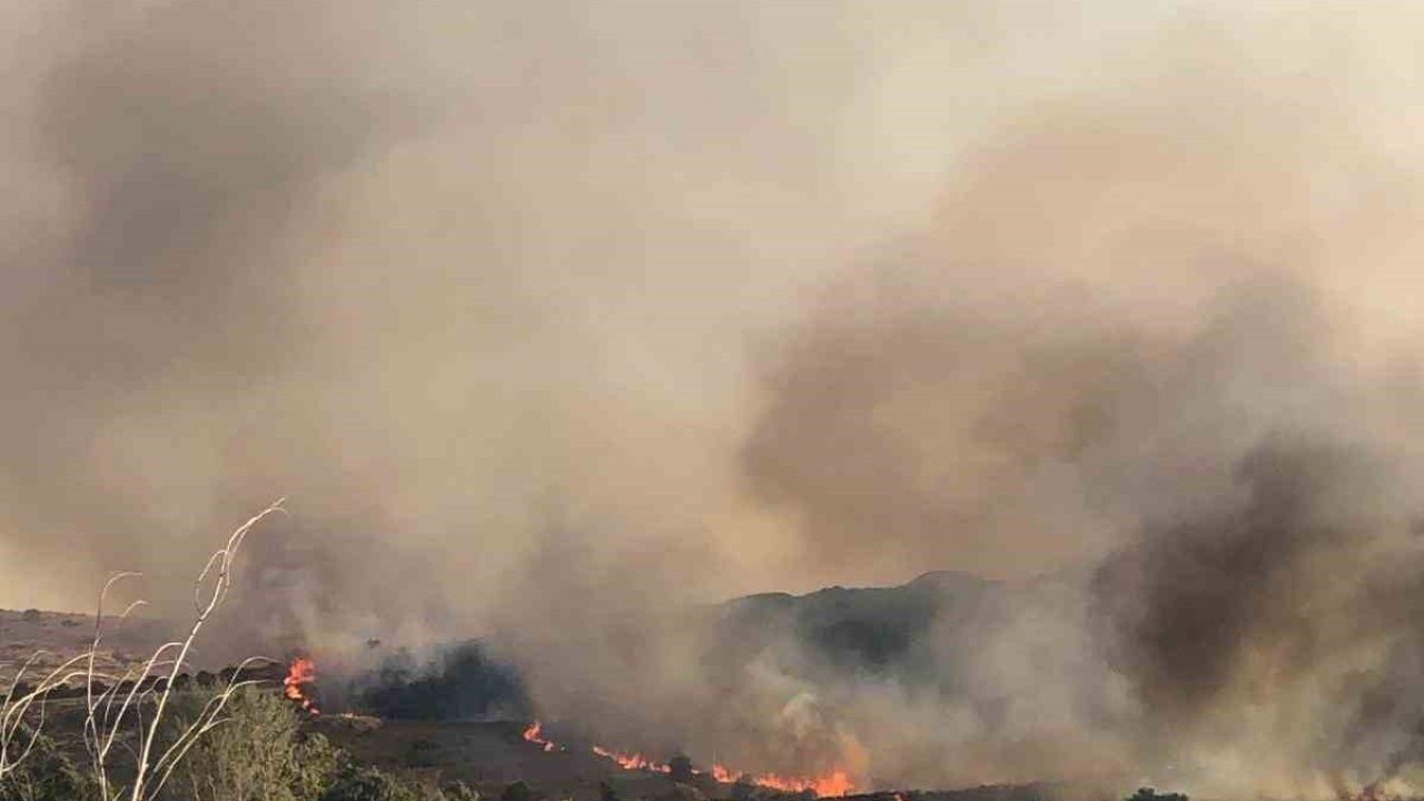 Aliağa’da otluk alanda yangın