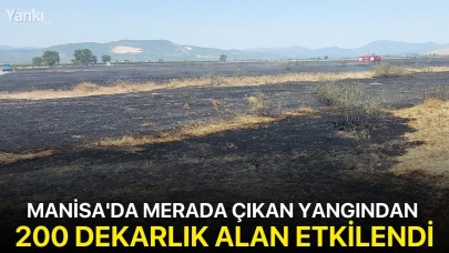 Manisa'da merada çıkan yangından 200 dekarlık alan etkilendi