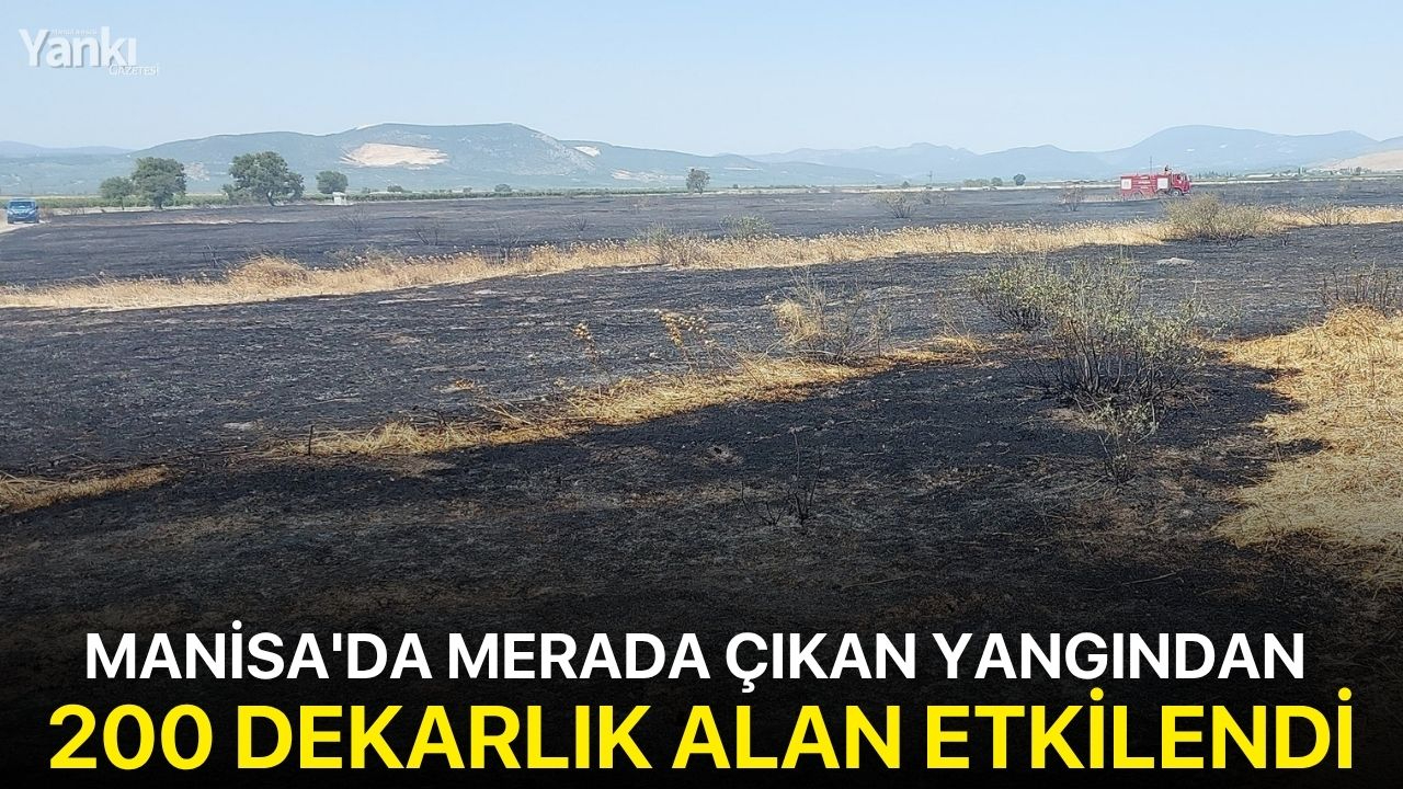 Manisa'da merada çıkan yangından 200 dekarlık alan etkilendi