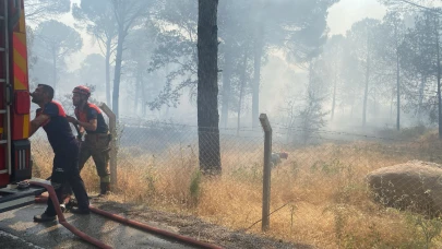 Bergama’da orman yangınına müdahale ediliyor
