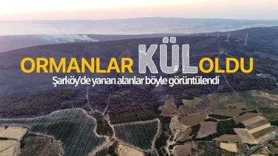 Tekirdağ yangınında yanan alanlar böyle görüntülendi