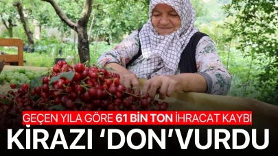 Kirazı 'don' vurdu!