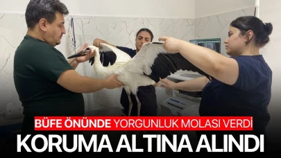 Büfe önünde yorgunluk molası verdi! Koruma altına alındı