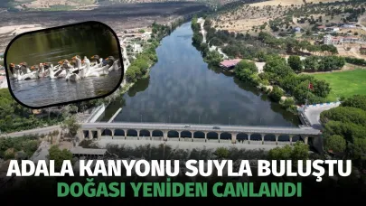 Adala Kanyonu Suyla Buluştu, Doğası Yeniden Canlandı