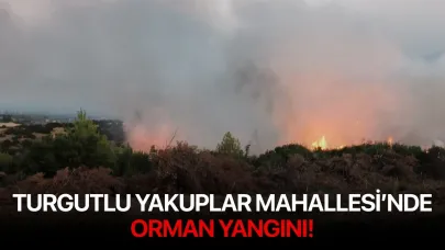 Turgutlu Yakuplar Mahallesi’nde Orman Yangını