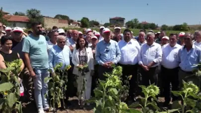TZOB Başkanı Bayraktar: "Ayçiçeği üretimimiz kuraklıktan etkilenmiş görünüyor"