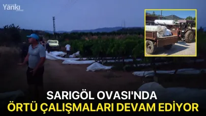 Sarıgöl Ovası'nda örtü çalışmaları devam ediyor