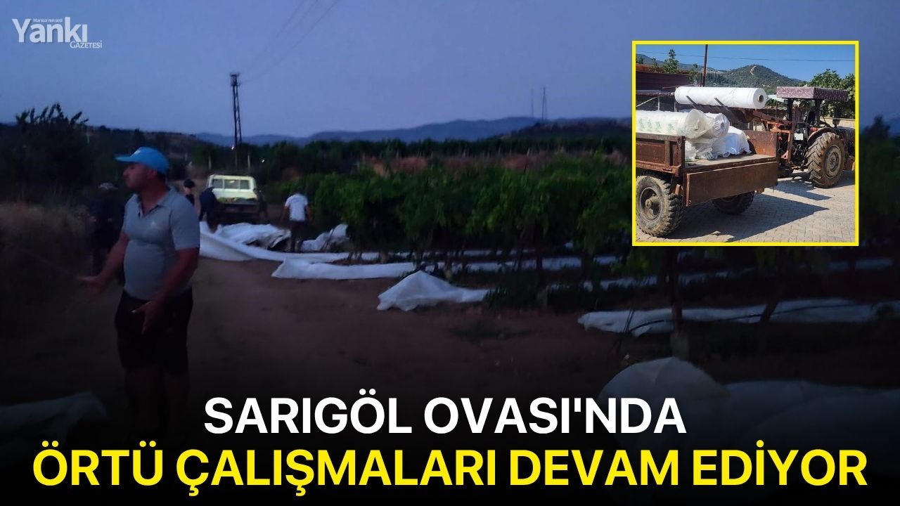 Sarıgöl Ovası'nda örtü çalışmaları devam ediyor