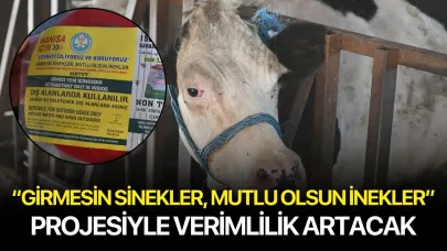 “Girmesin Sinekler, Mutlu Olsun İnekler” Projesiyle Verimlilik Artacak