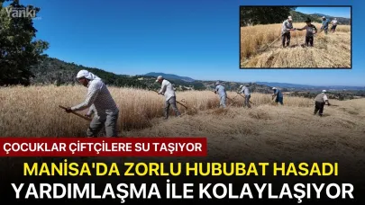 Manisa'da zorlu hububat hasadı yardımlaşma ile kolaylaşıyor