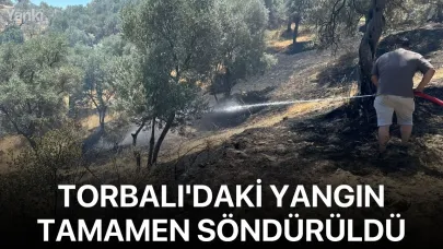 Torbalı'daki yangın tamamen söndürüldü