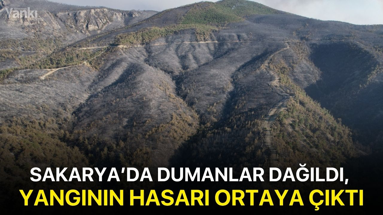 Sakarya’da dumanlar dağıldı, yangının hasarı ortaya çıktı