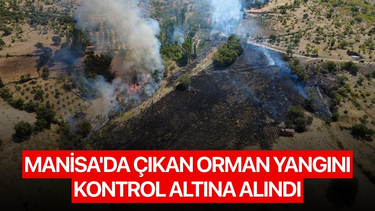 Manisa'da çıkan orman yangını kontrol altına alındı