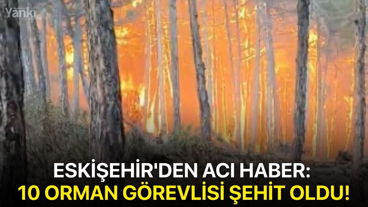 Eskişehir'den acı haber: 10 orman görevlisi şehit oldu!