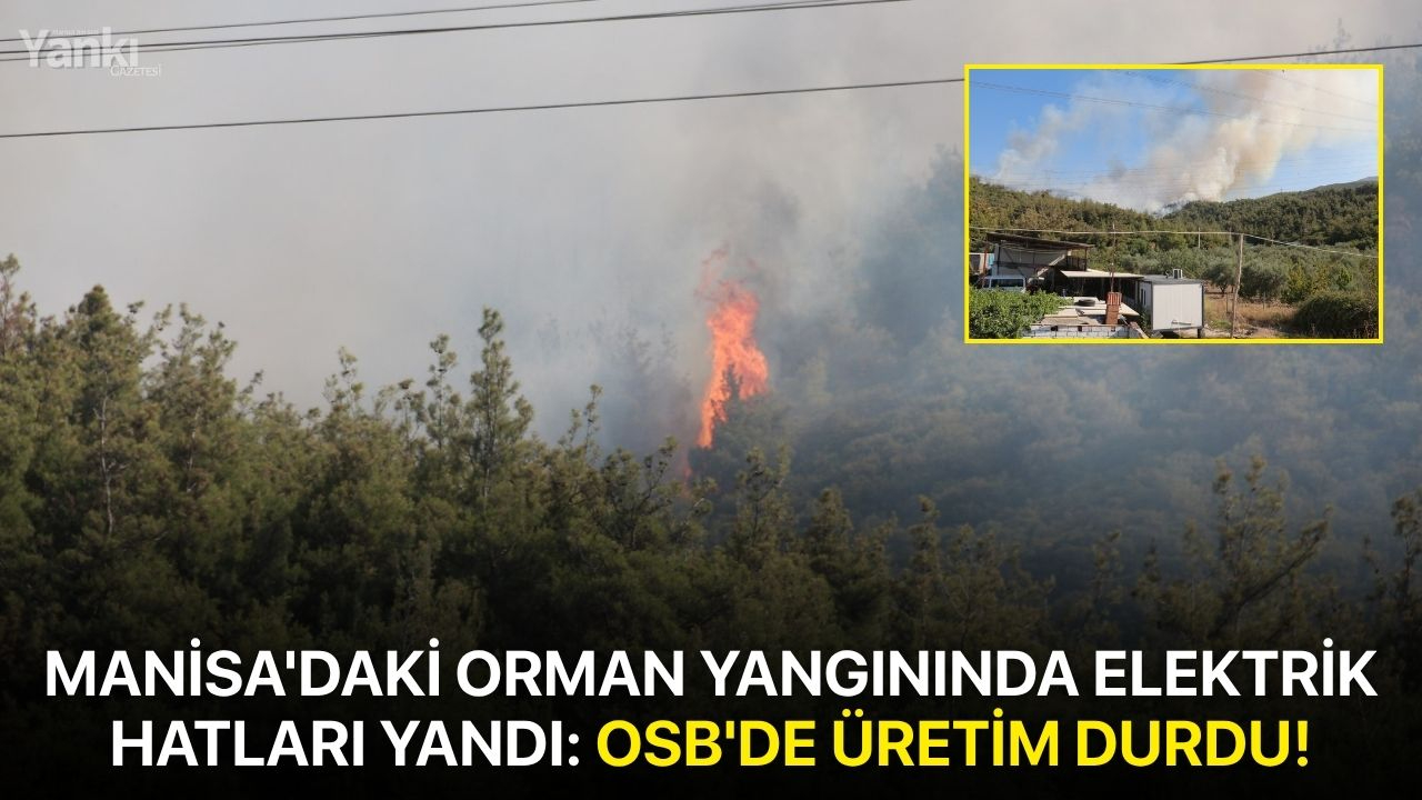Manisa'daki orman yangınında elektrik hatları yandı: OSB'de üretim durdu!