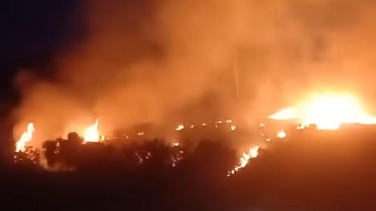 Dalbahçe Mahallesi’nde orman yangını korkuttu
