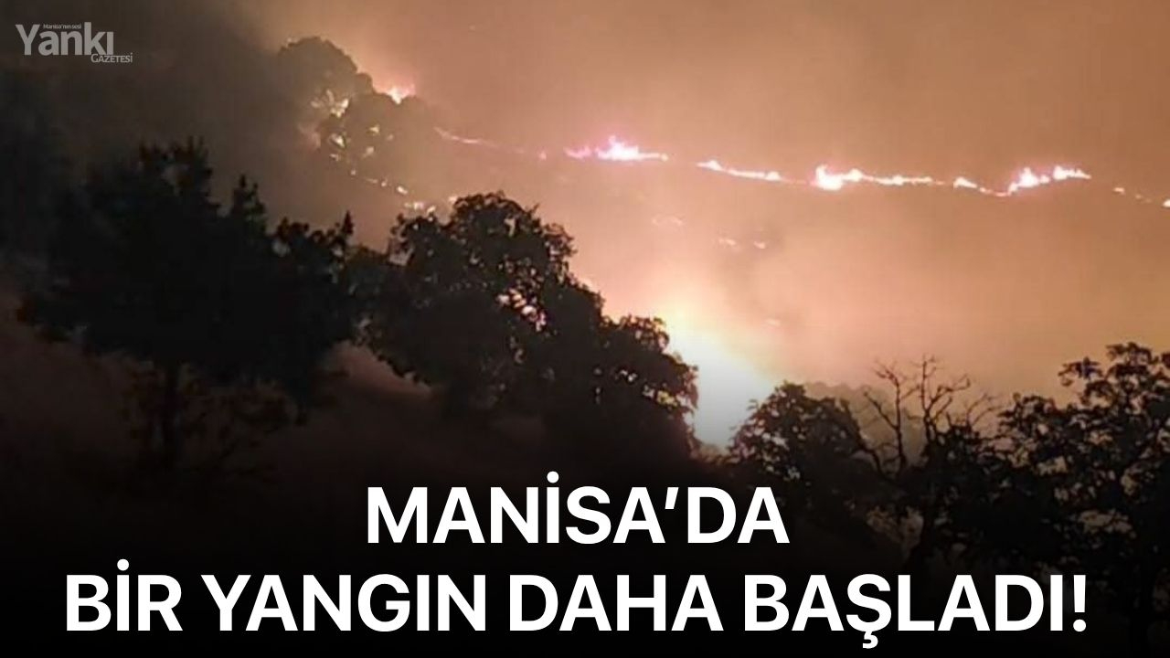 Manisa’da bir yangın daha başladı!