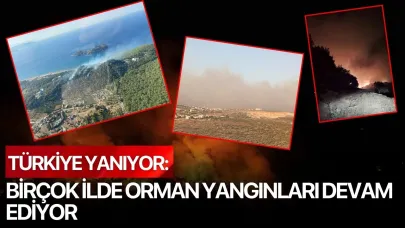 Türkiye Yanıyor: Birçok İlde Orman Yangınları Devam Ediyor