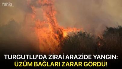 Turgutlu'da zirai arazide yangın: Üzüm bağları zarar gördü!