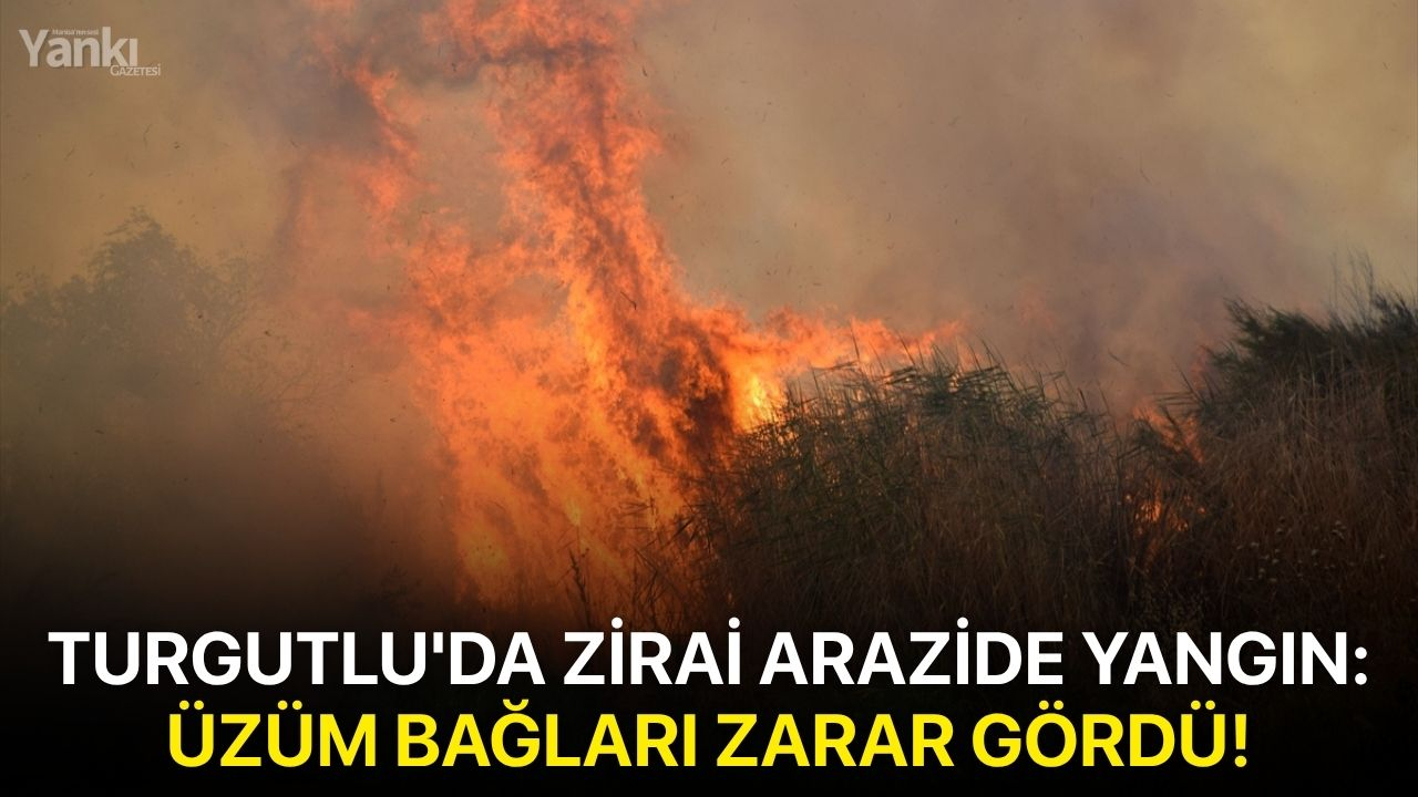 Turgutlu'da zirai arazide yangın: Üzüm bağları zarar gördü!