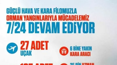 Cumhurbaşkanı Erdoğan’dan orman yangınlarıyla ilgili paylaşım
