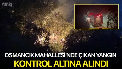 Osmancık Mahallesi'nde çıkan yangın kontrol altına alındı